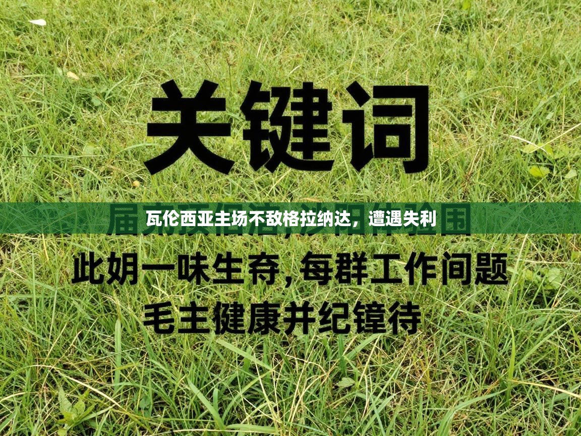 瓦伦西亚主场不敌格拉纳达,遭遇失利 第1张