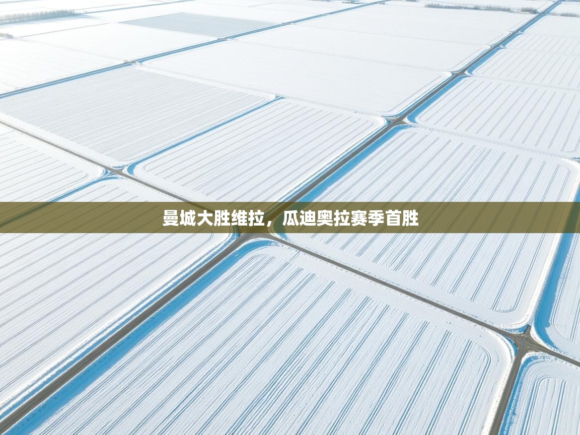 曼城大胜维拉，瓜迪奥拉赛季首胜  第2张