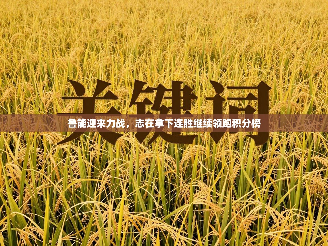 鲁能迎来力战，志在拿下连胜继续领跑积分榜  第1张